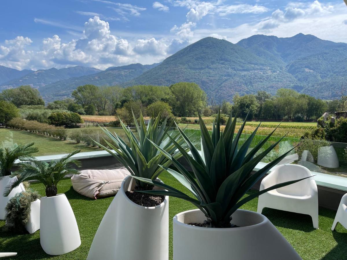 Art B&B Design Costa Volpino Kültér fotó