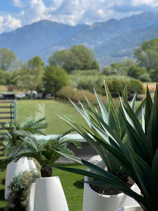 Art B&B Design Costa Volpino Kültér fotó