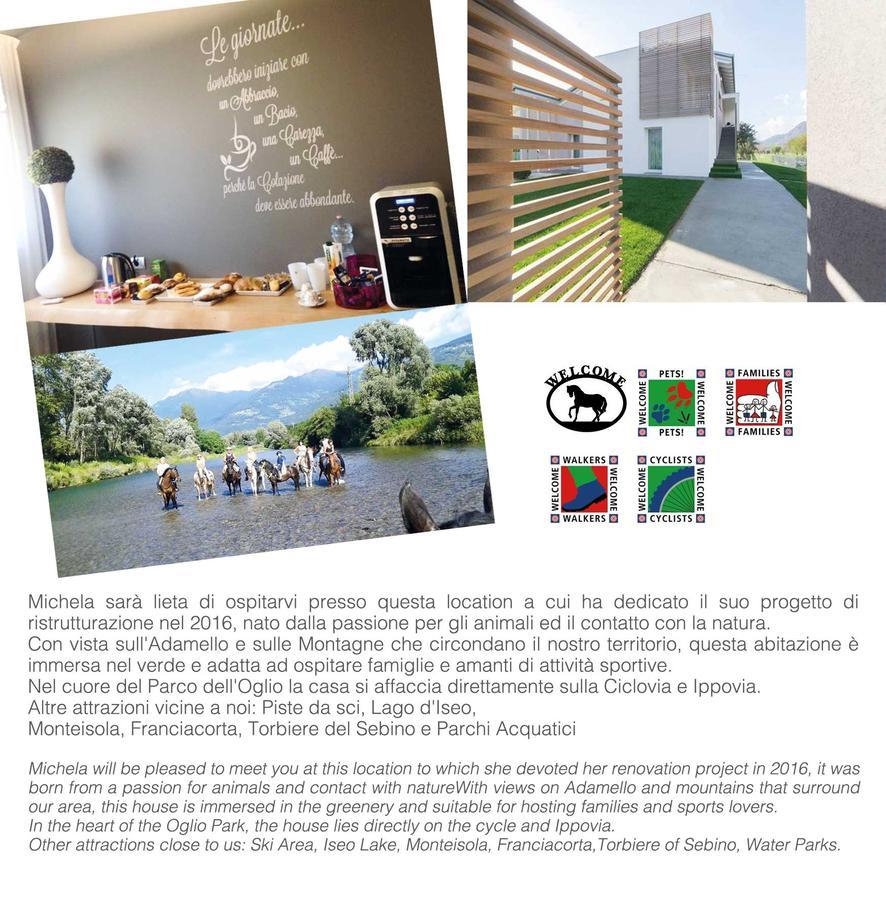 Art B&B Design Costa Volpino Kültér fotó