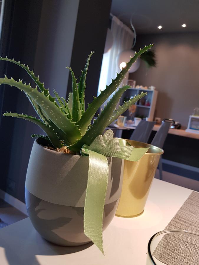 Art B&B Design Costa Volpino Kültér fotó